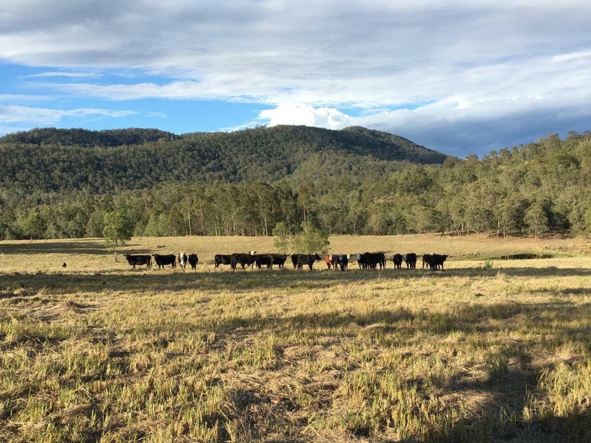 Apartmán Rural Ambience With Netflix Mount George Exteriér fotografie