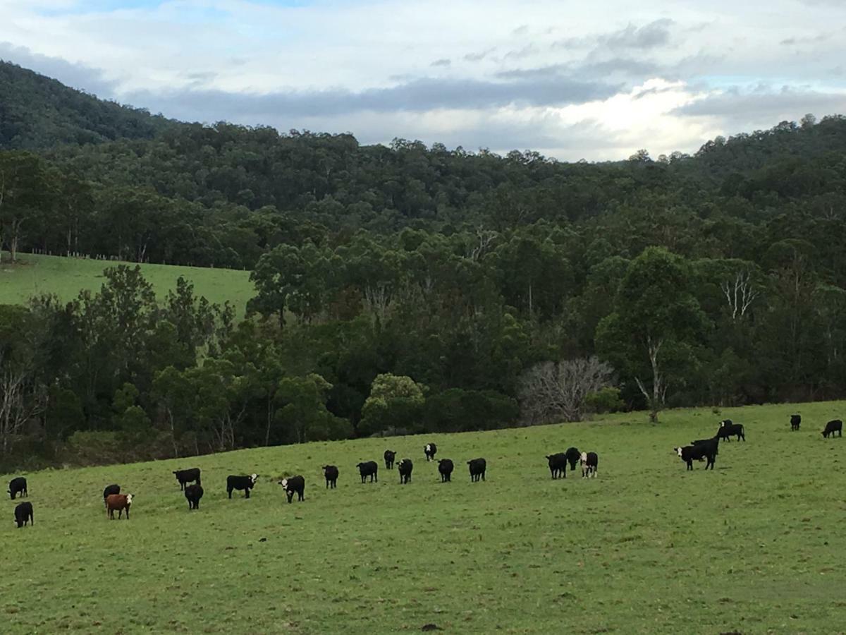 Apartmán Rural Ambience With Netflix Mount George Exteriér fotografie